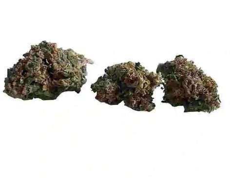 Les fleurs de Mango Haze proposent différentes nuances allant du vert très pâle à des teintes plus denses et sombres.