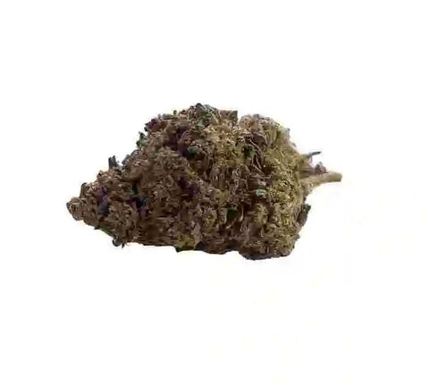 Ses fleurs sont d'un vert éclatant, criblées de pistils orange vif, et produisent un effet puissant et stimulant.